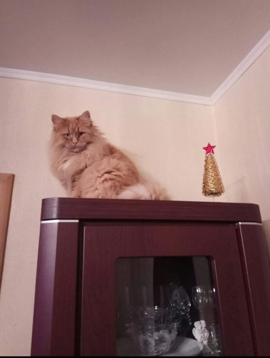 Наш пострел везде поспел