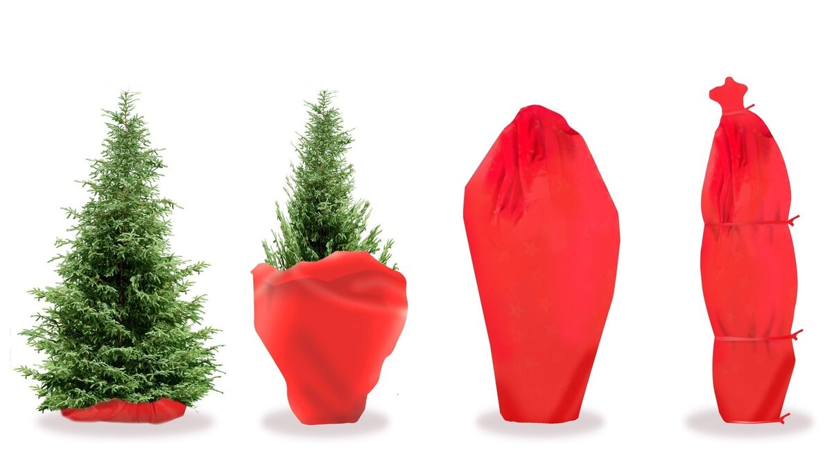 Фото взято из открытых источников