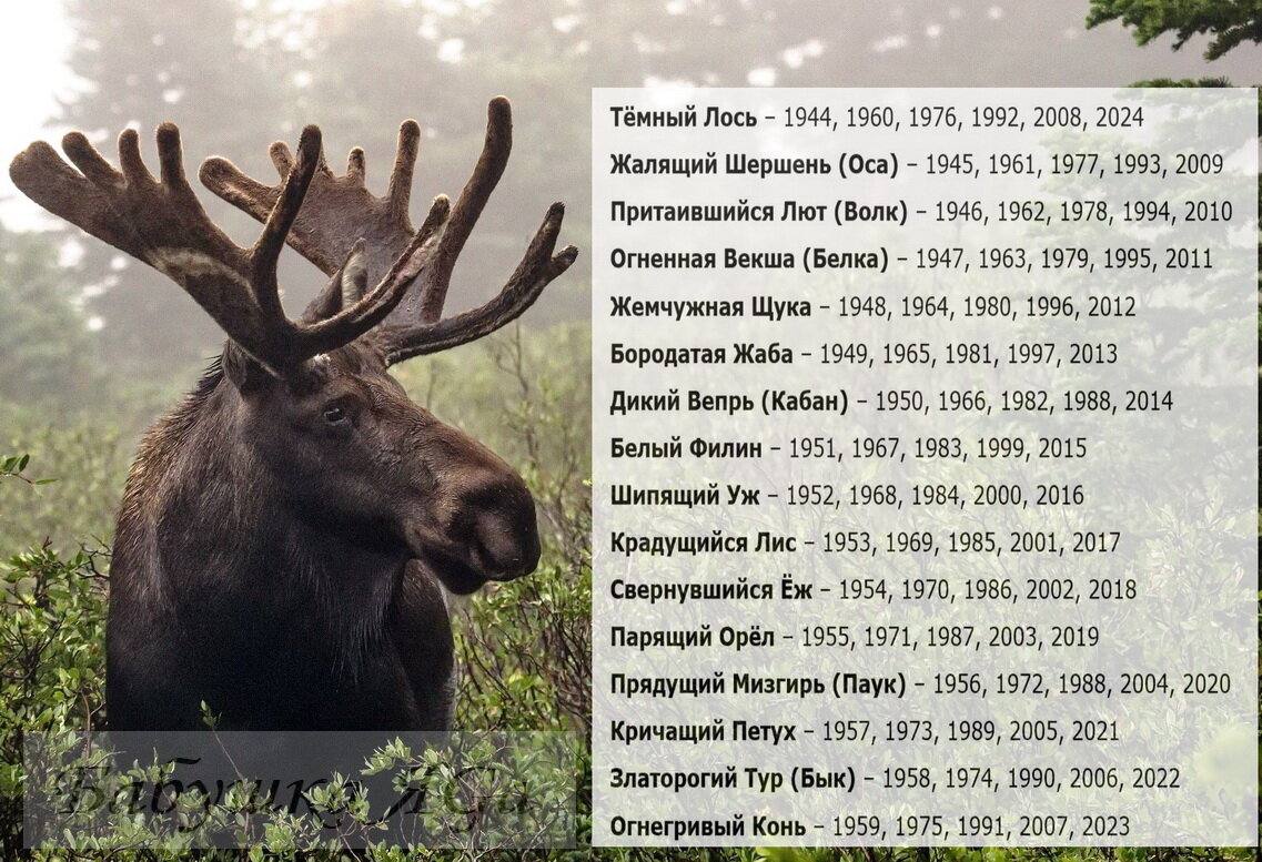 Год лося по славянскому календарю