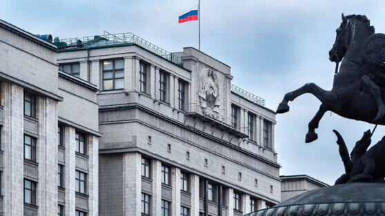    В ГД прорабатывают вопрос амнистии некоторых женщин, отбывающих наказание Ирина Петрова