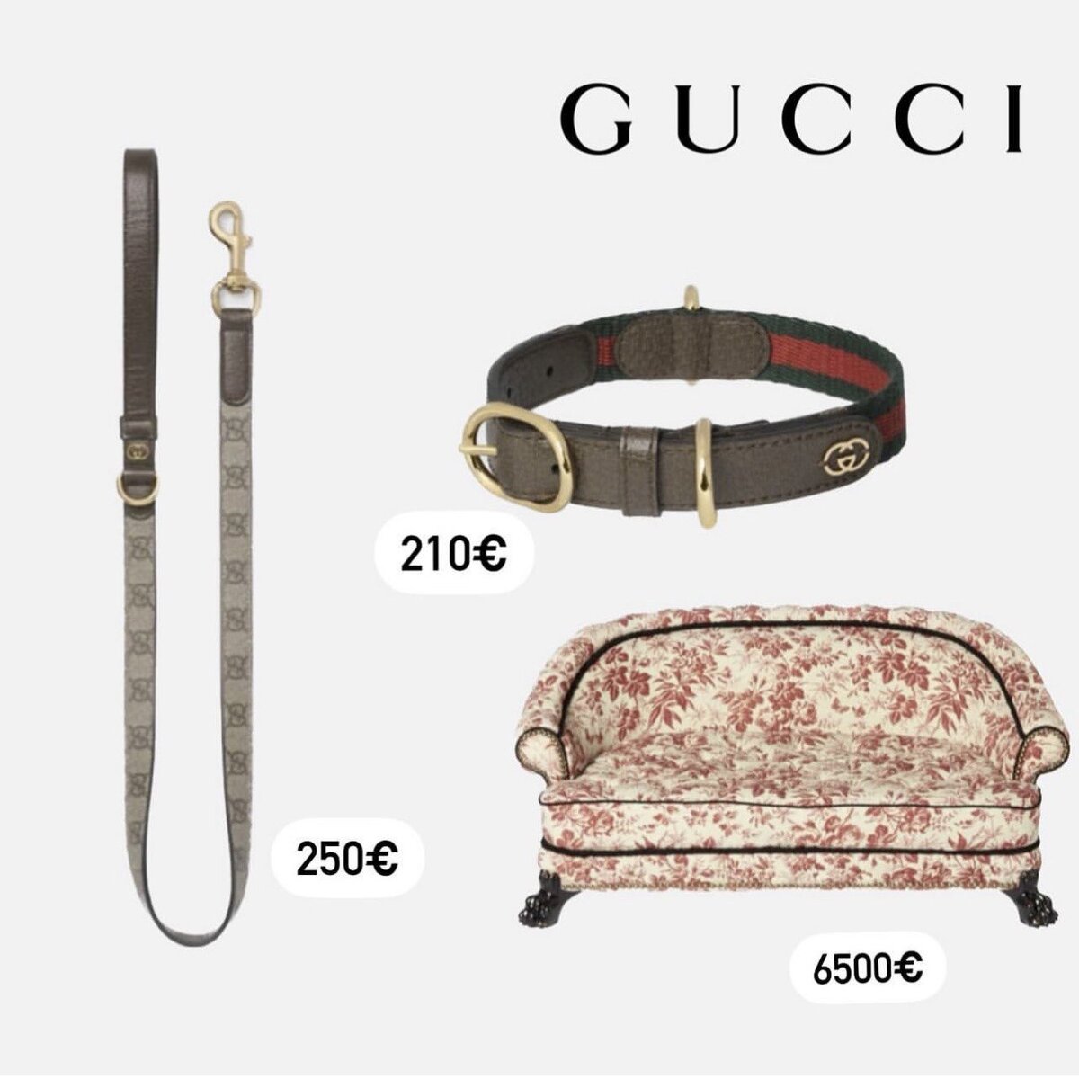 Gucci аксессуары для собак - коллаж