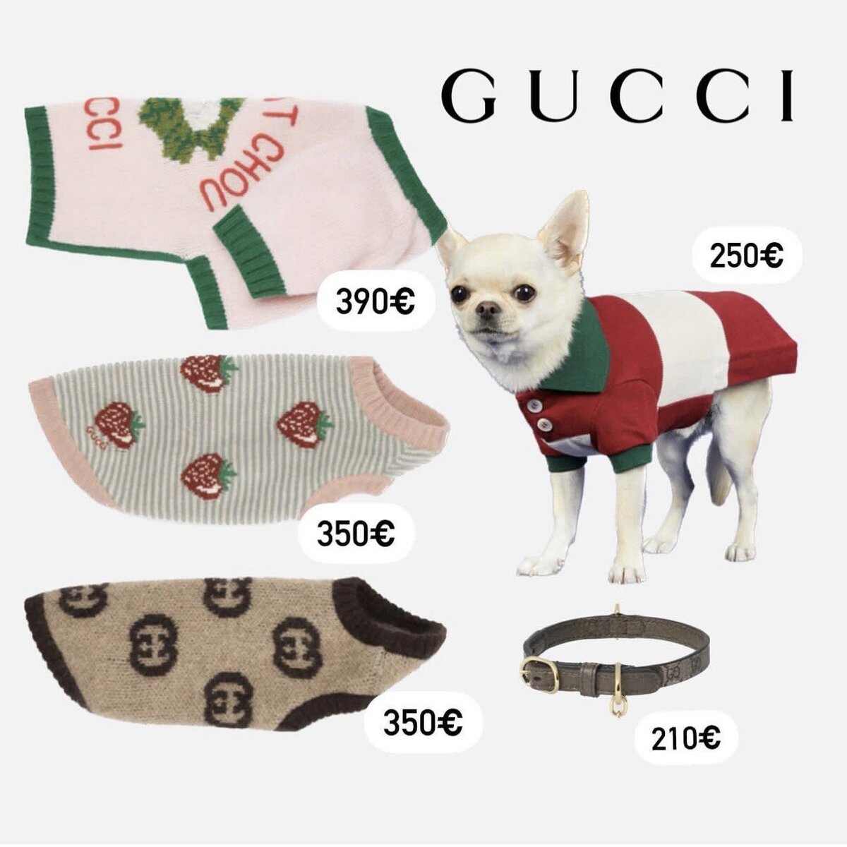 Gucci одежда для собак коллаж