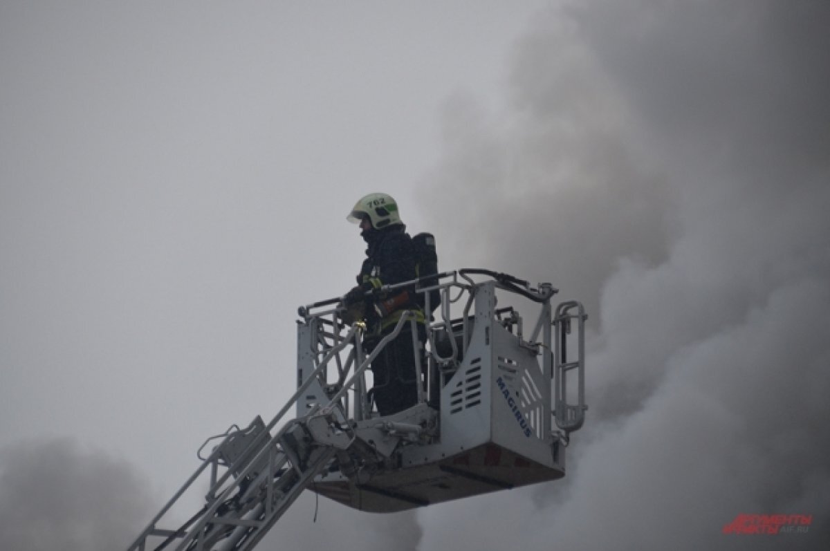    В Омске добровольцы потушили более 600 пожаров