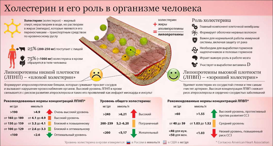 Витамины при высоком холестерине