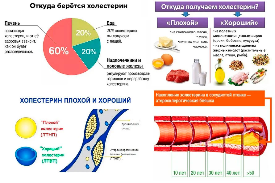 Пониженный холестерин у ребенка. Норма плохого холестерина в организме человека. Нормальный показатель уровня холестерина в крови. Холестерин повышение и снижение. Понижающий холестерин