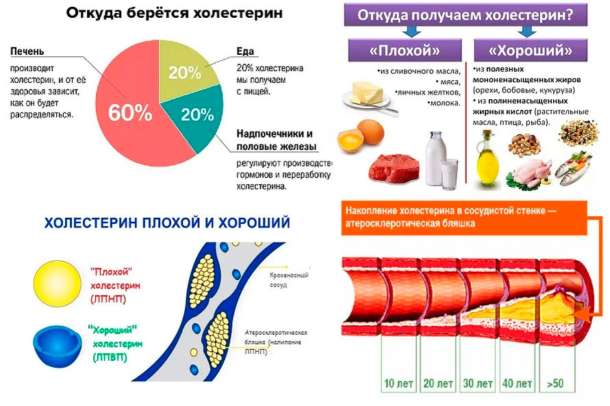 Повышение холестерина у мужчин. Норма плохого холестерина в организме человека. Нормальный показатель уровня холестерина в крови. Холестерин повышение и снижение. Понижающий холестерин.