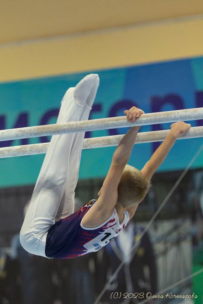 Фото с сайта Федерации спортивной гимнастики России. 