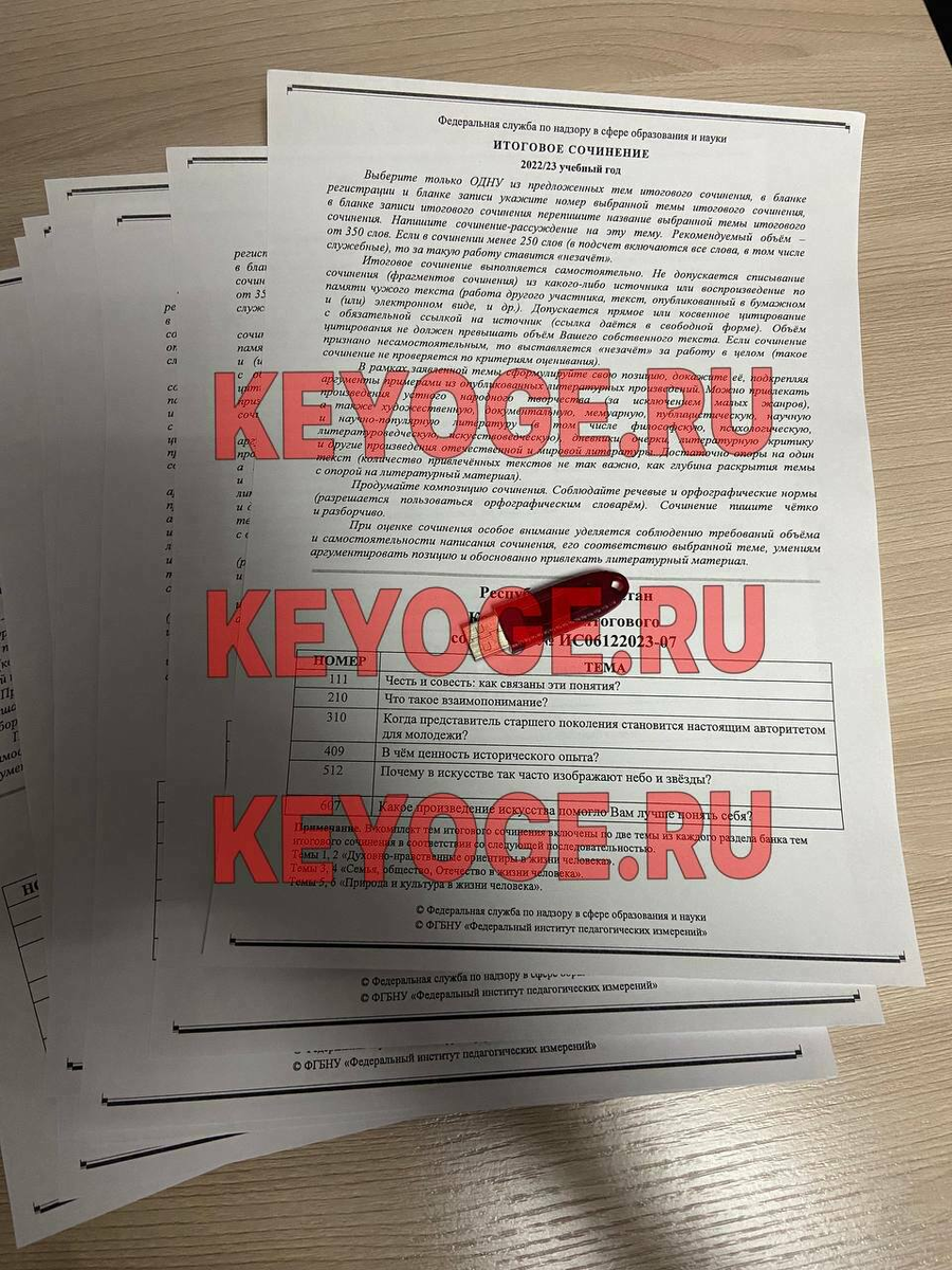 Официальные темы Итогового сочинения утекли в сеть