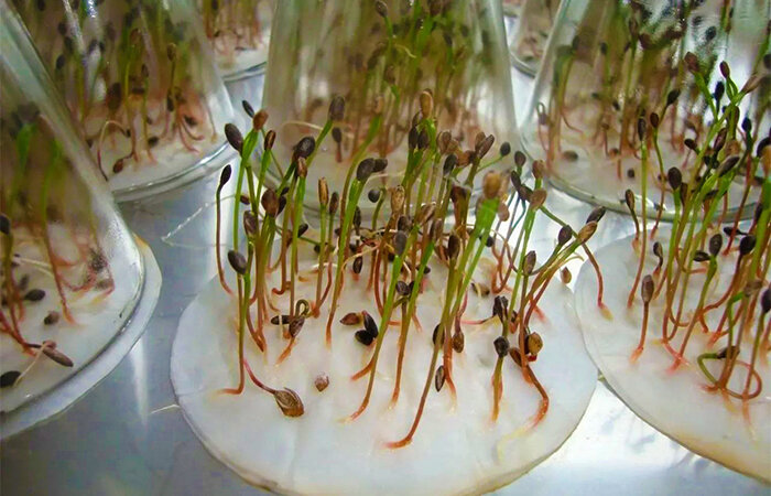 Добавьте описание