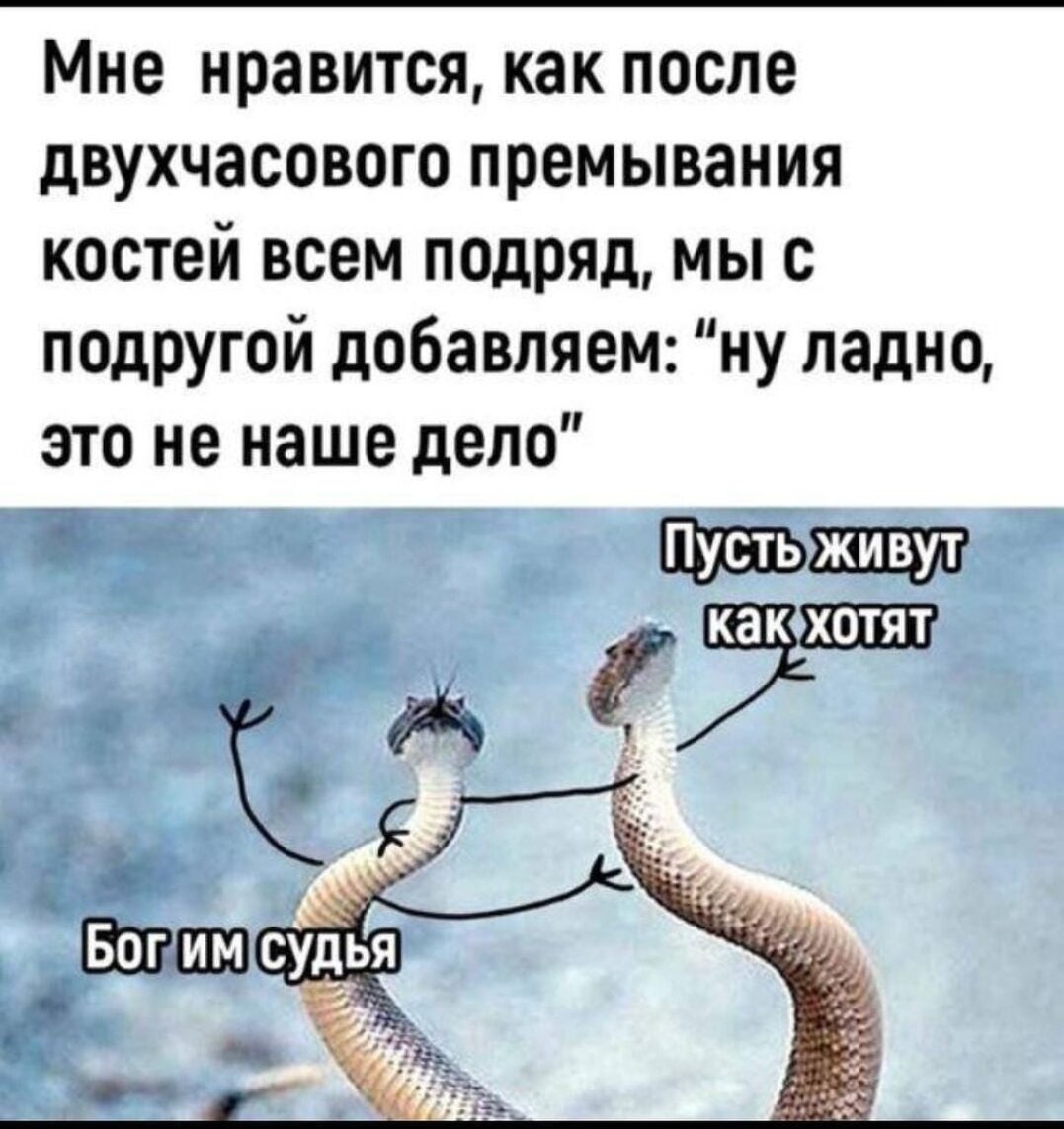 Одной из целей нашей поездки было, так сказать, как следует прошипеться🤣Фото из открытых источников 