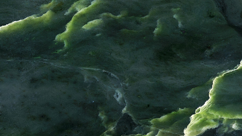   Gettyimages.ru milicenta