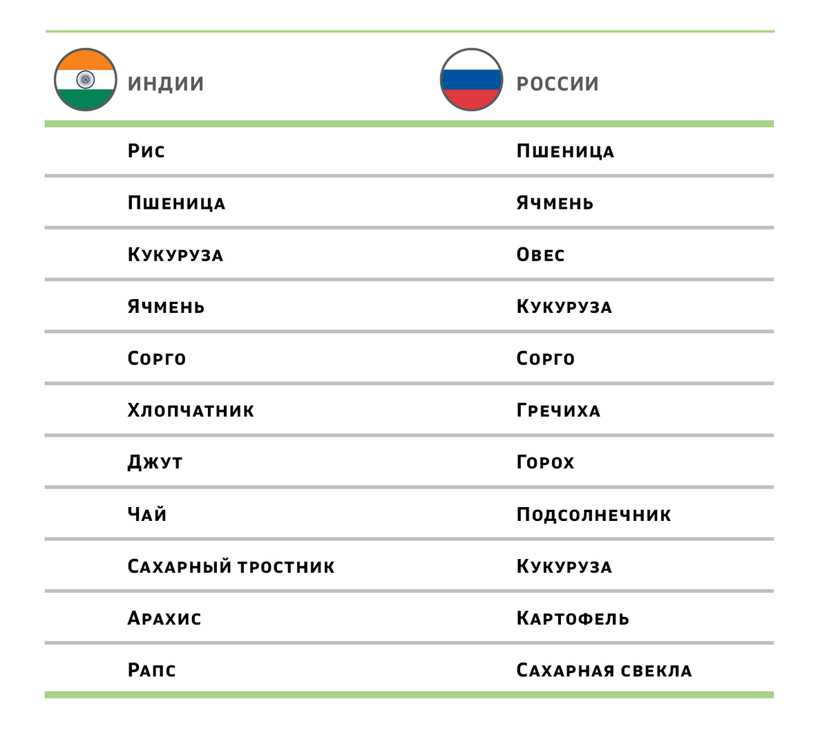 Сельское хозяйство в Индии: есть ли чему поучиться нашим фермерам? | Группа  «Акрон» | Дзен