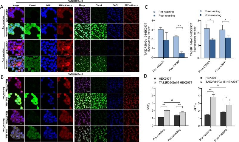 Мощная научна картинка. www.sciencedirect.com