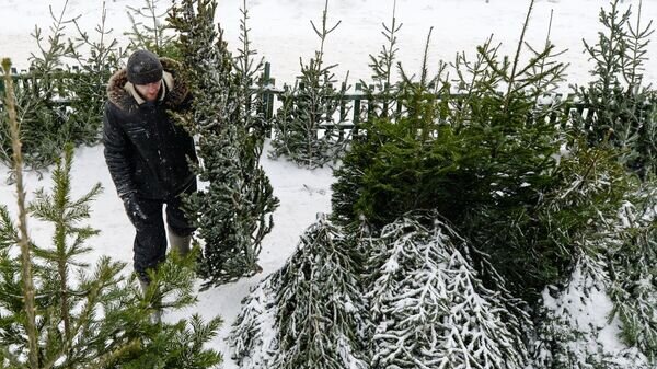    © Sputnik / Александр Кряжев