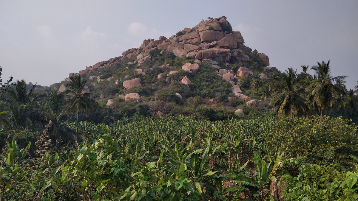 Один из бесчисленных холмов на фоне банановой плантации.