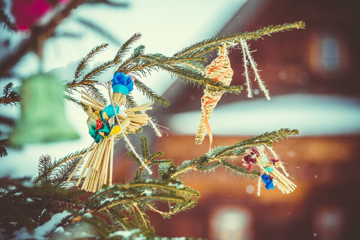 Фото П. Сухова