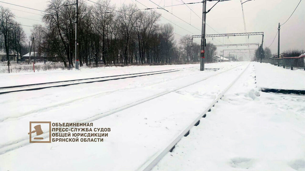 Электричка чернетово брянск. Чернетово. Электричка Сельцо Чернетово.