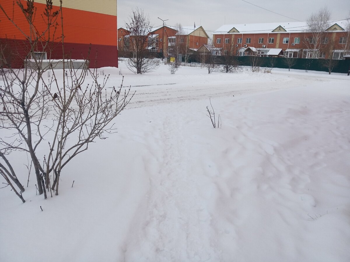 Утром около нашего дома