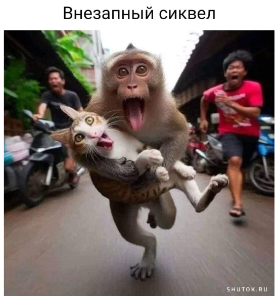 Веселуха кошка