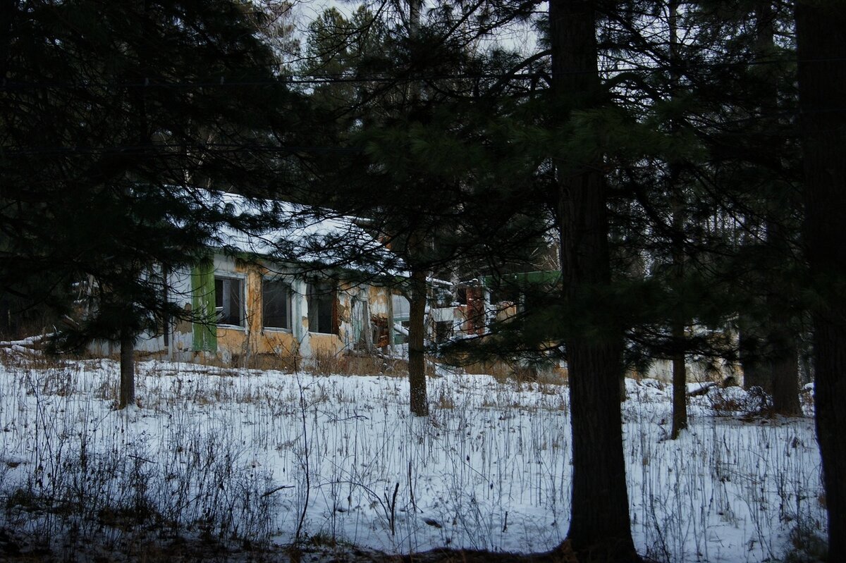 Фото Юлия Скойбеда.
