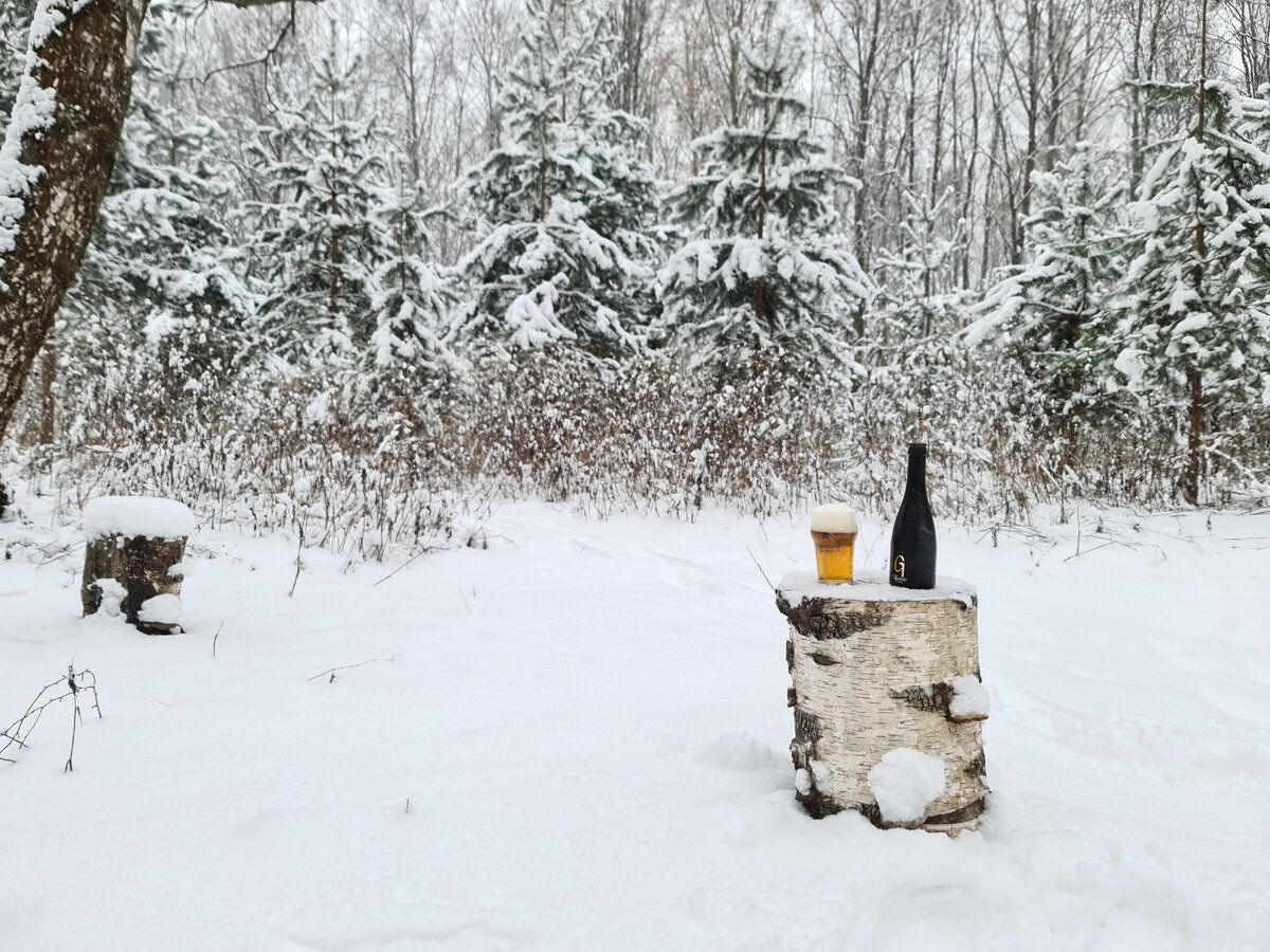 Дегустация в лесу, фото автора