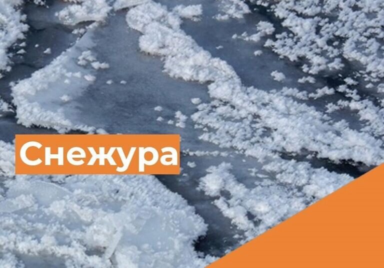    На водоемах Оренбуржья отмечается снежура Марина Шарт