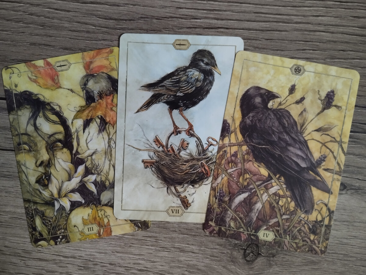 Фото автора.