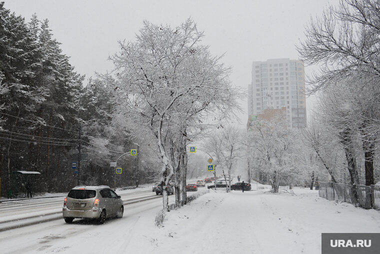    Сильные морозы придут в Пермь уже 6 декабря