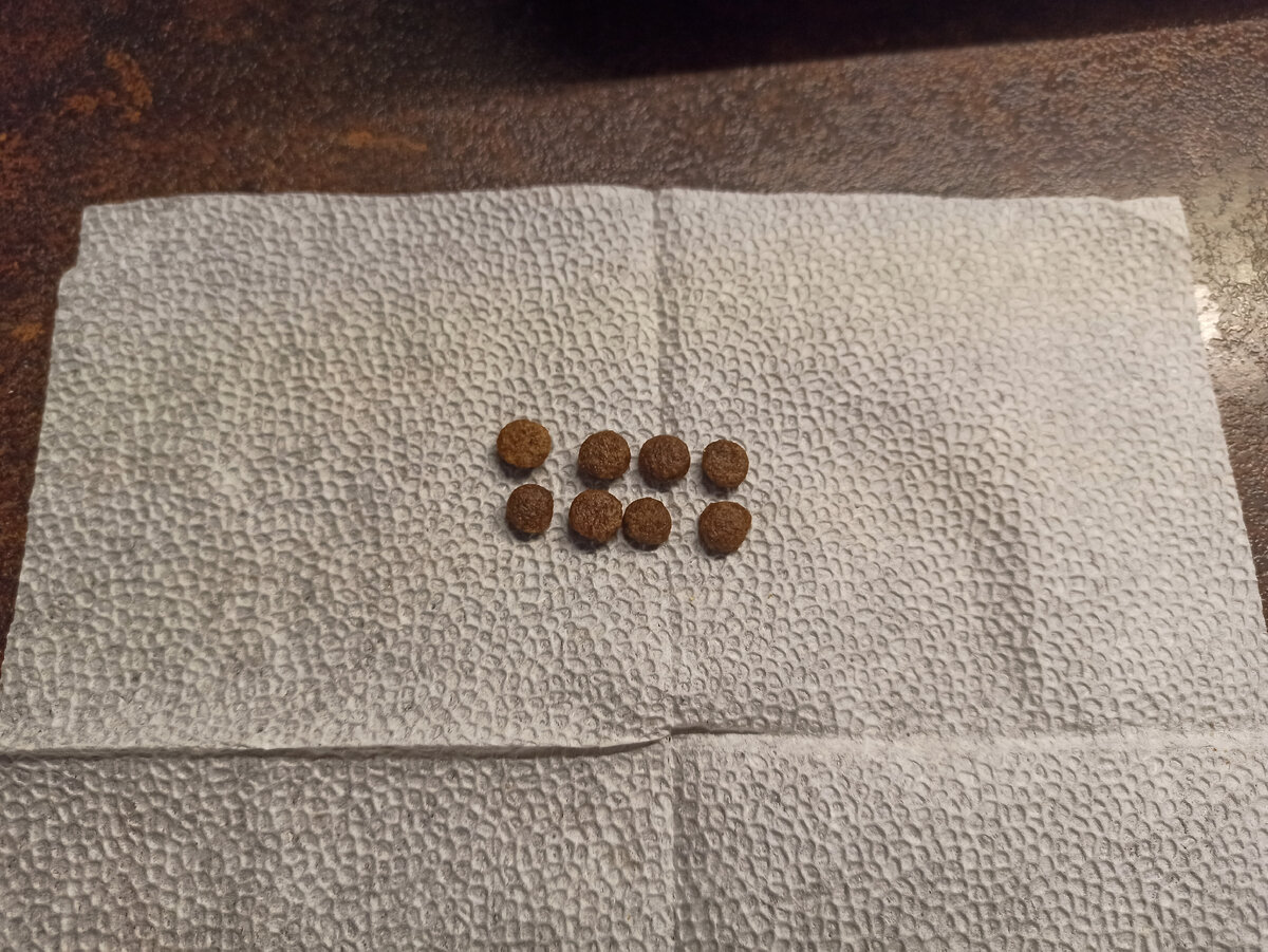 Восемь корминок для первой прикормки восьми щенков