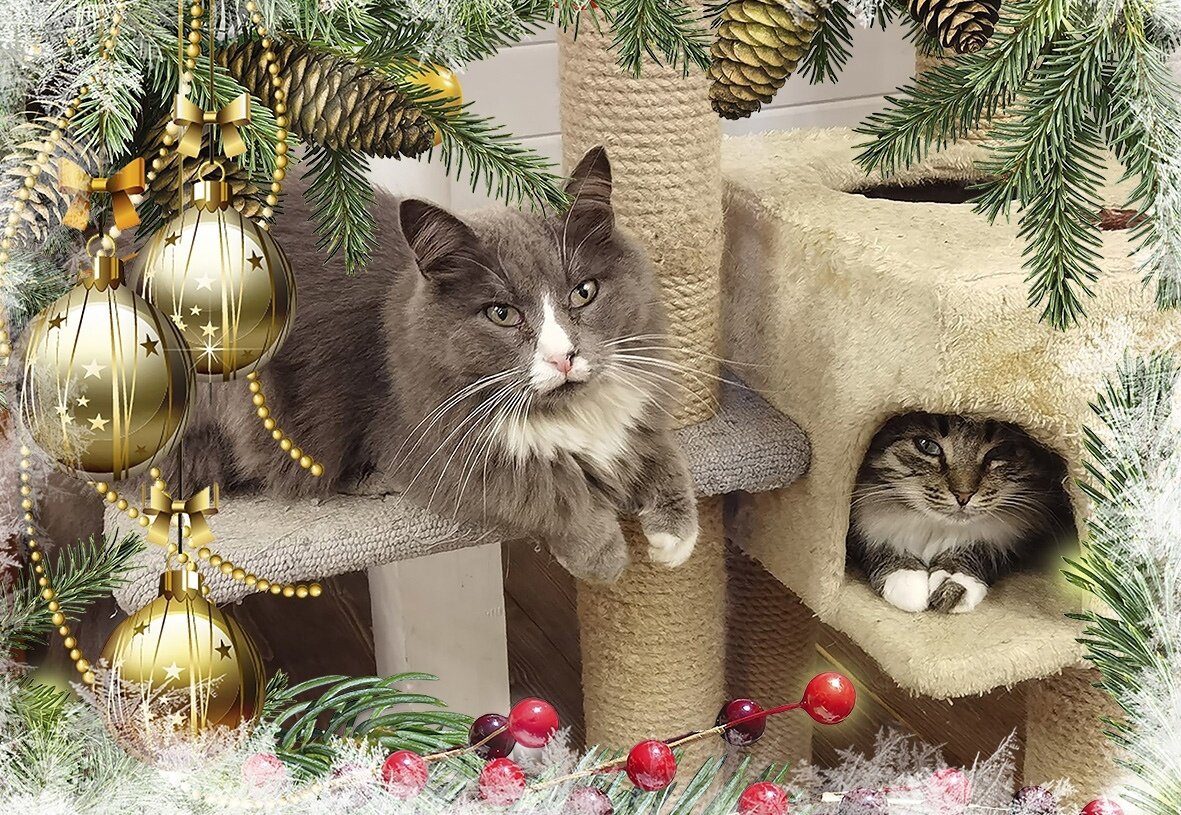 Много разных магнитов