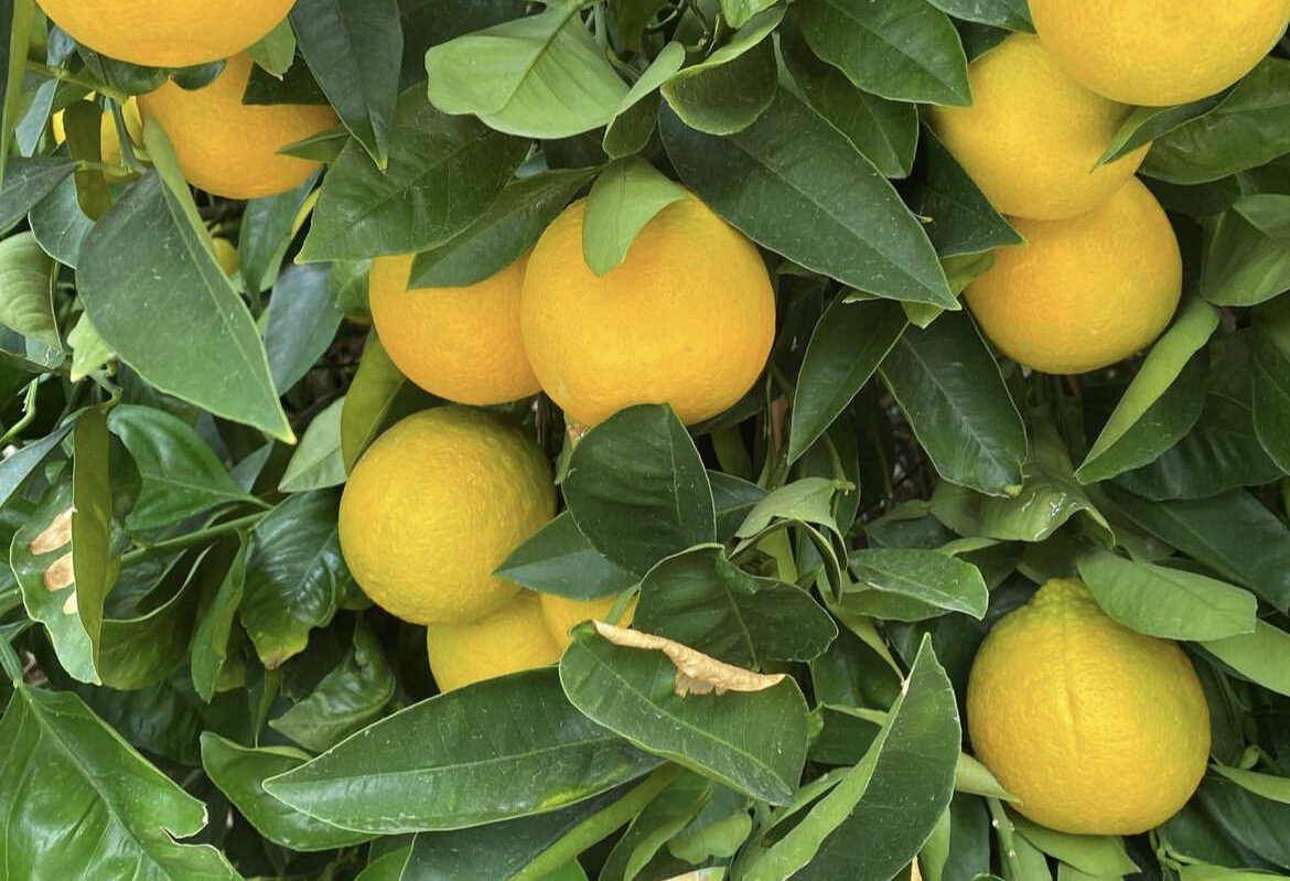 Фото из запрещенной сети