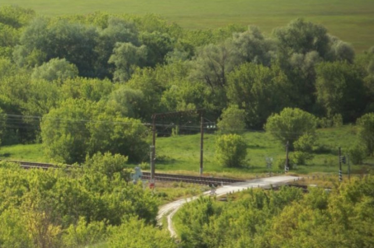    Липецкая область заняла 17 место в «Зеленом рейтинге 2023»