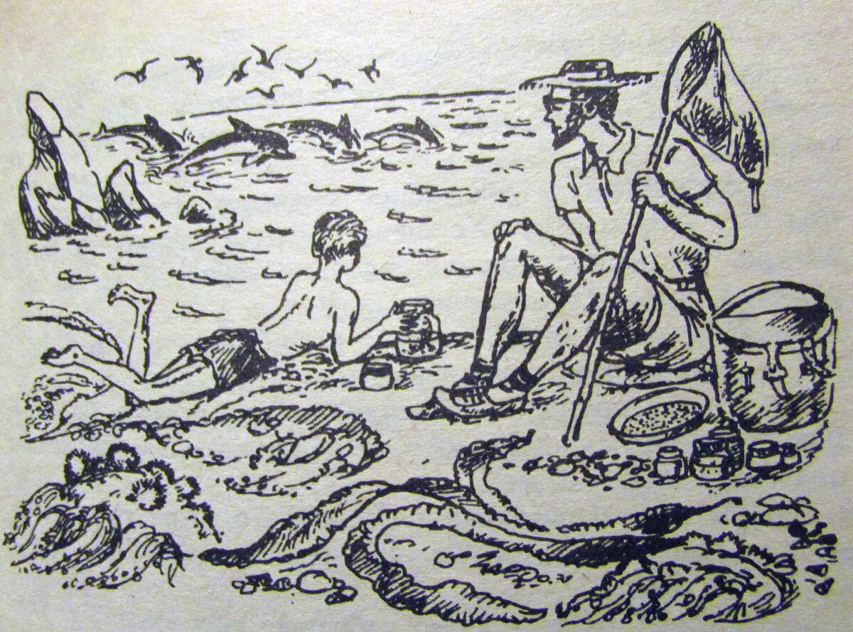 Иллюстрации из "Зелёной серии".