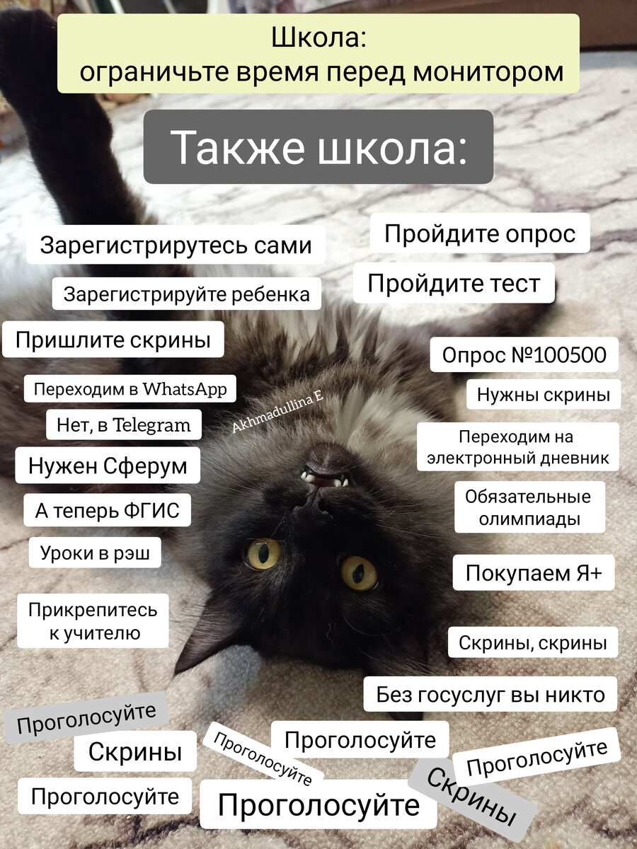 Степан заглянул в чат. 😅