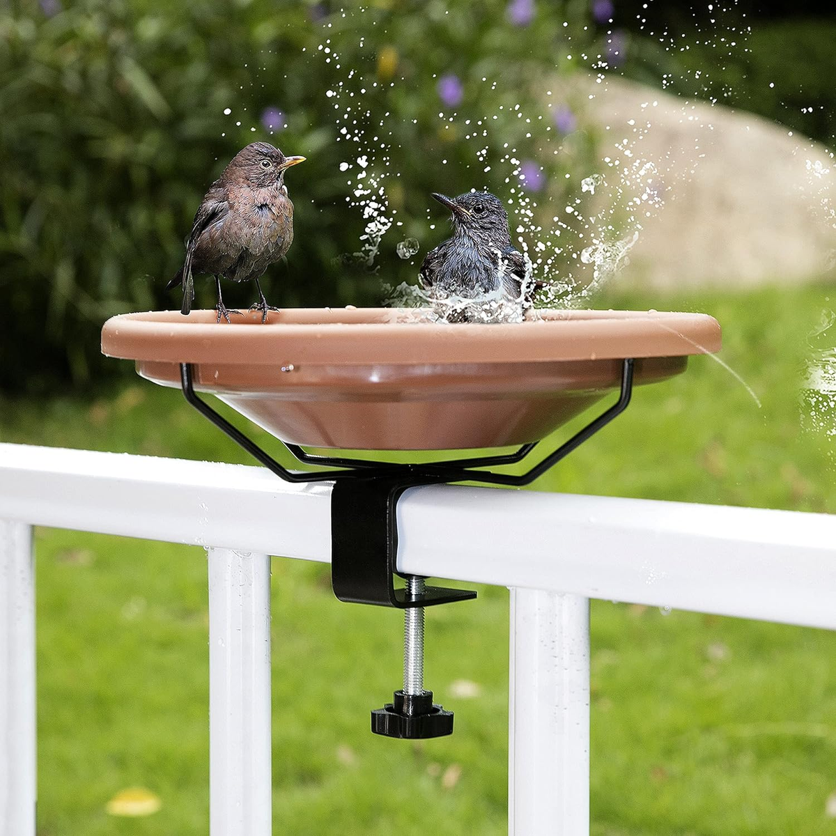 Bird bath