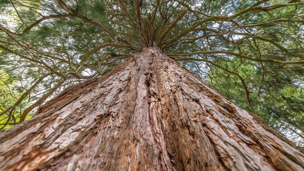    Фото: Shutterstock