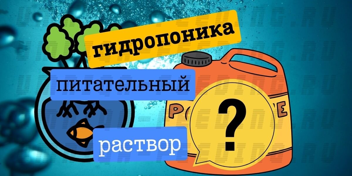 Питательный раствор. Томаты на гидропонике