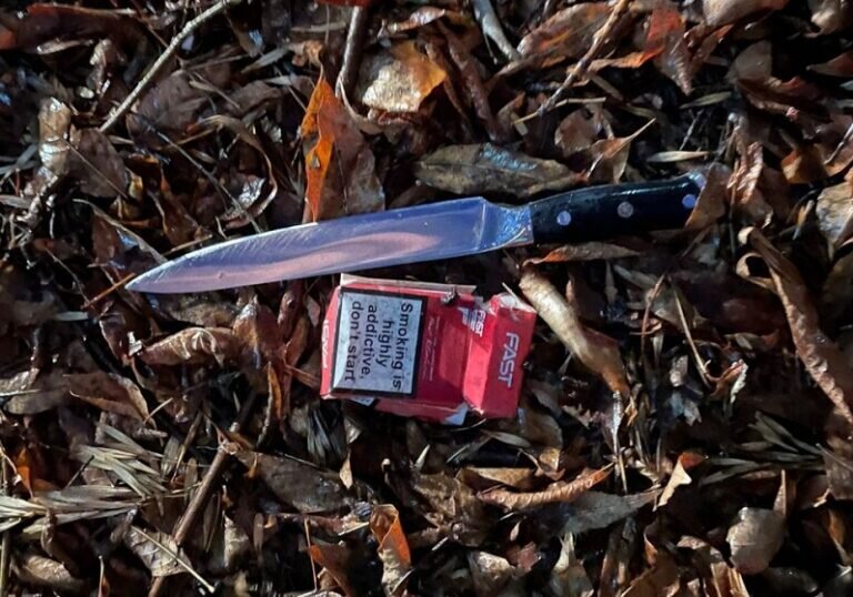    Шерше ля фам. Новотройчанка порезала знакомого защищая честь своего мужа Марина Шарт