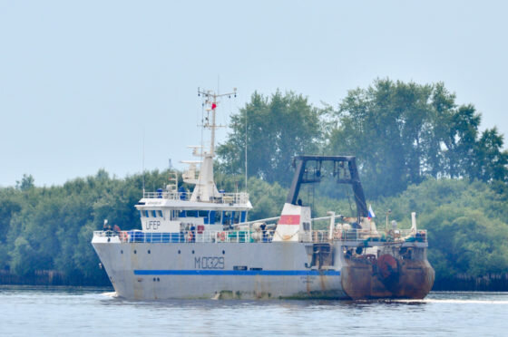     Фото: Виталий Вашуткин