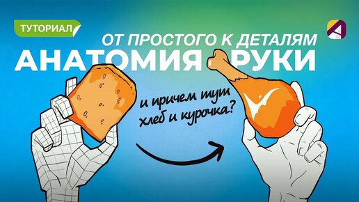 Как рисовать руки? Урок от простого к сложному