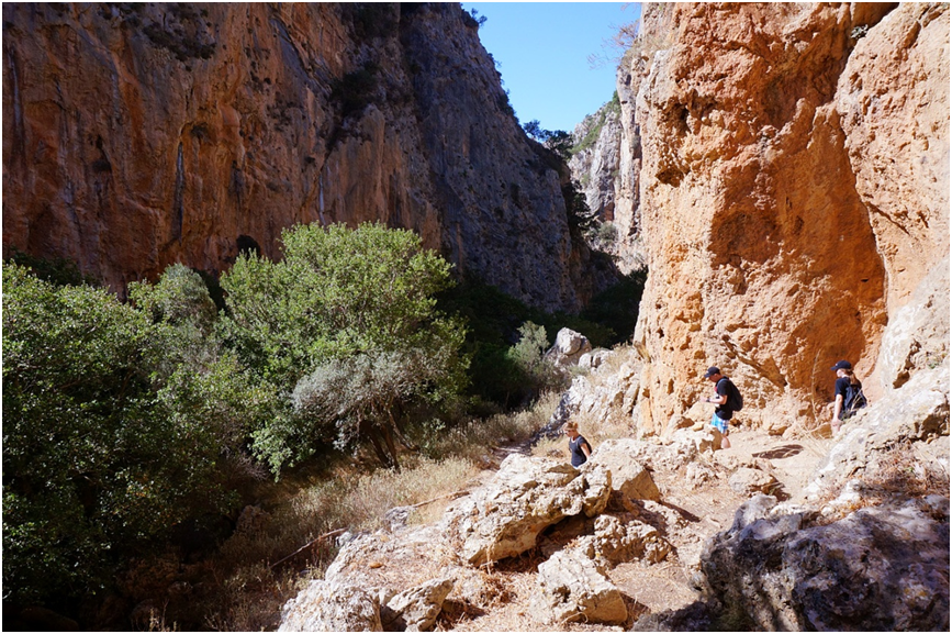 олдувайское ущелье в восточной африке. олдувайское ущелье. ущелье олдувай находки. музей ущелья олдувай. пещера олдувай.