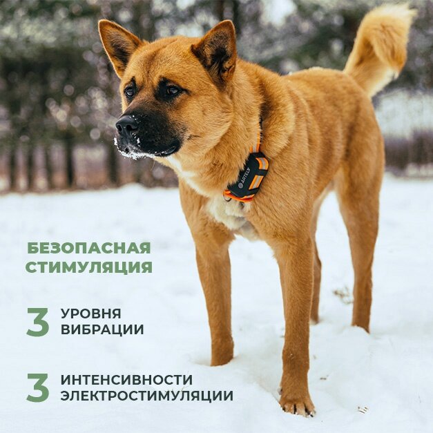 Компания ARTELV представила на российском рынке инновационную систему слежения за собаками и домашними животными: GPS Ошейник ARTELV TRACKER SOLO.  Три спутниковые системы: GPS, глонасс, BEIDOU.-4