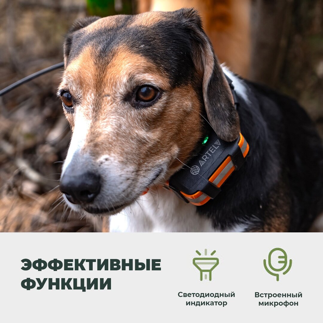 Компания ARTELV представила на российском рынке инновационную систему слежения за собаками и домашними животными: GPS Ошейник ARTELV TRACKER SOLO.  Три спутниковые системы: GPS, глонасс, BEIDOU.-5