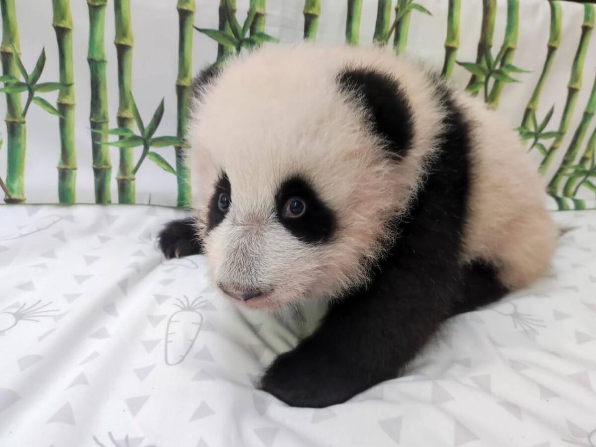 Фото: t.me/Светлана Акулова