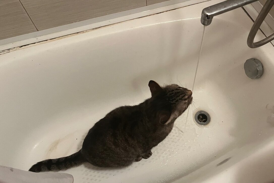 Водичка вкусная