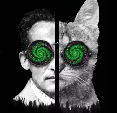 Обложка книги "Квантовый кот вселенной". Фото: labirint.ru