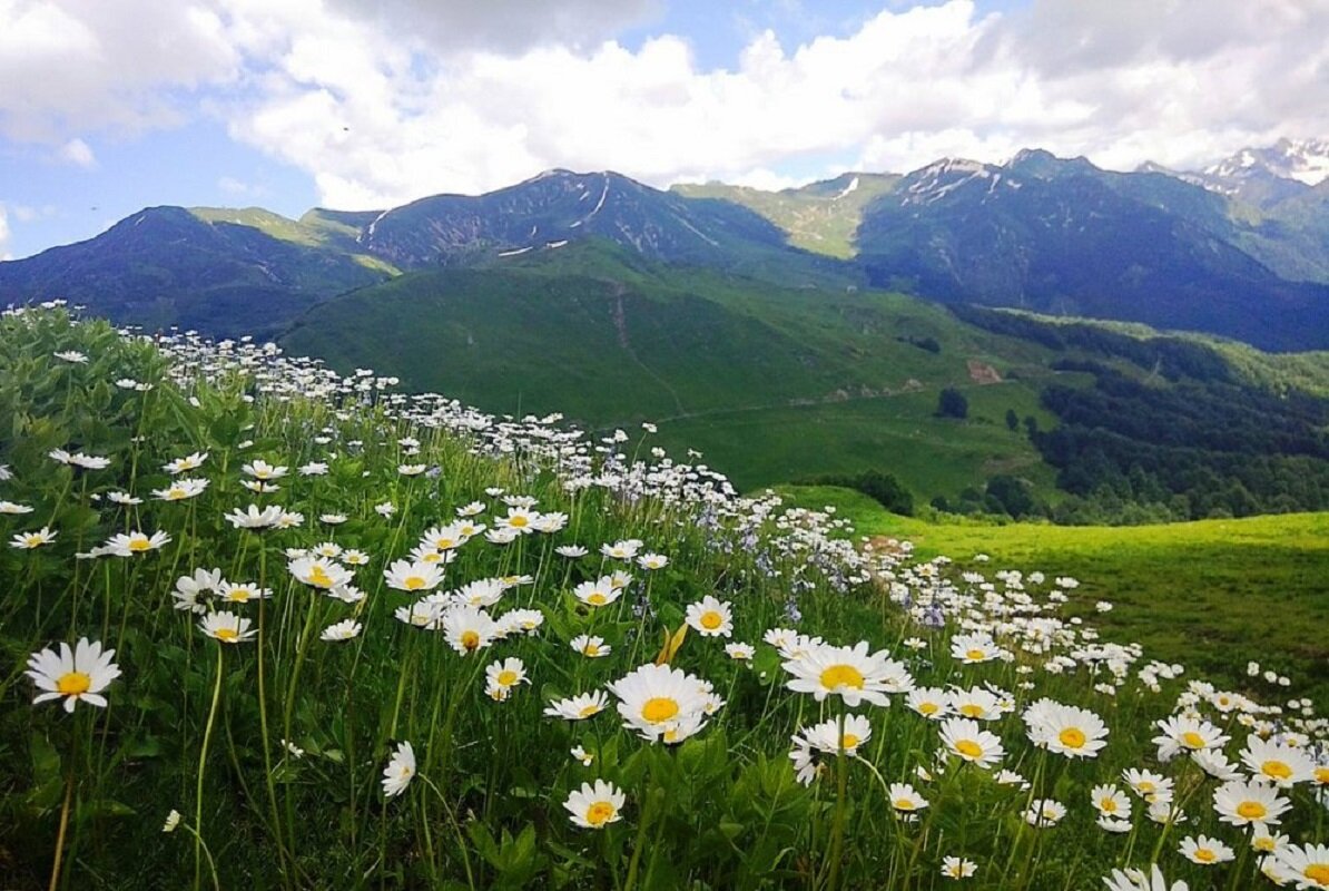 Абхазия на майские праздники