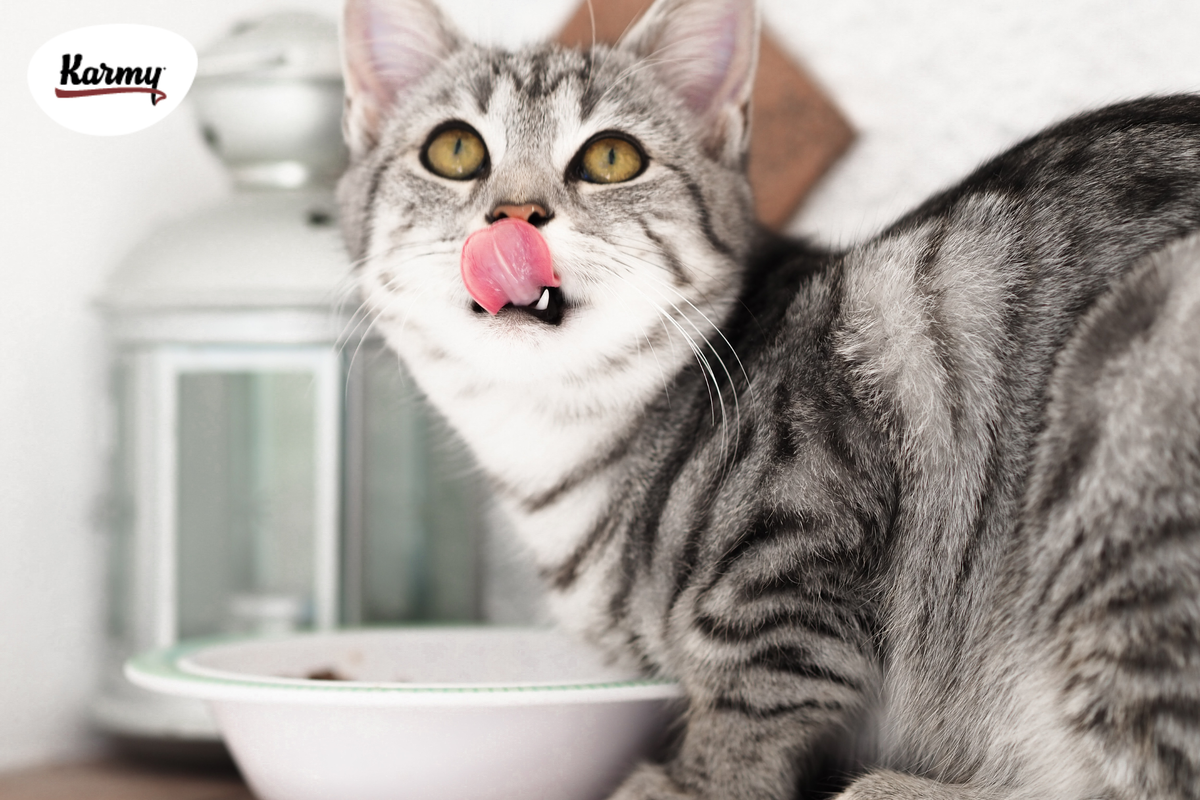 Авторское изображение с использованием картинки с фотостока "Unsplash" 