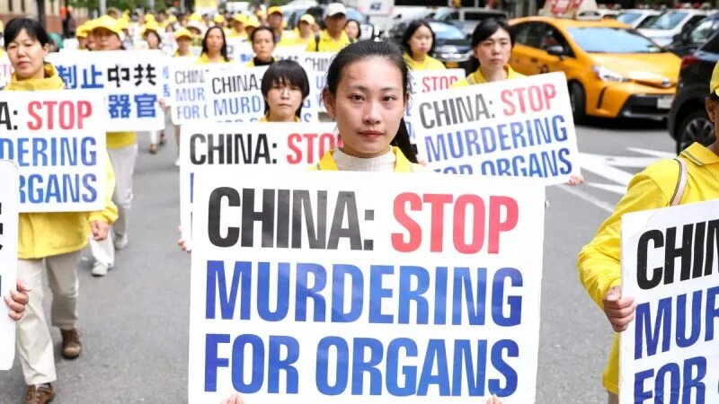 Приверженцы Фалунь Дафа на параде в Манхэттене, Нью-Йорк, 16 мая 2019 года. Плакаты привлекают внимание людей к извлечению органов у узников совести Фалунь Дафа в Китае. (Samira Bouaou/The Epoch Times)