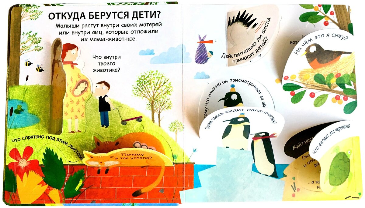 «Откуда берутся дети», издательство Робинс